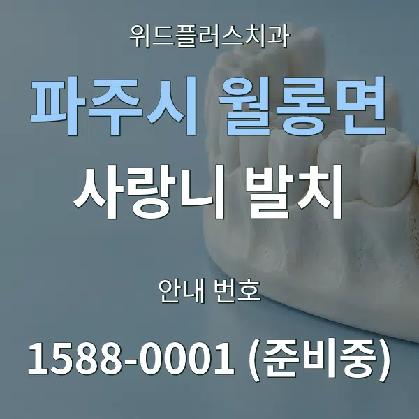 파주시 월롱면 사랑니 발치 대표 안내 그래픽