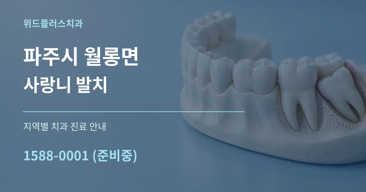 파주시 월롱면 사랑니 발치 대표 안내 그래픽