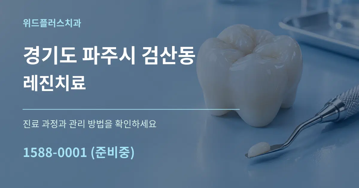 경기도 파주시 검산동 레진치료 서비스 이용 안내 그래픽