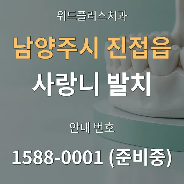 남양주시 진접읍 사랑니 발치 대표 안내 그래픽