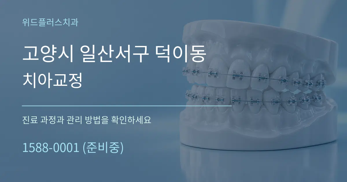 고양시 일산서구 덕이동 치아교정 서비스 이용 안내 그래픽