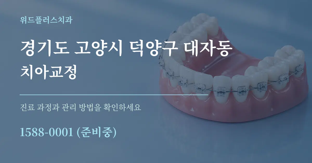 경기도 고양시 덕양구 대자동 치아교정 작업 조건 안내 그래픽