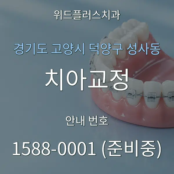 경기도 고양시 덕양구 성사동 치아교정 대표 안내 그래픽