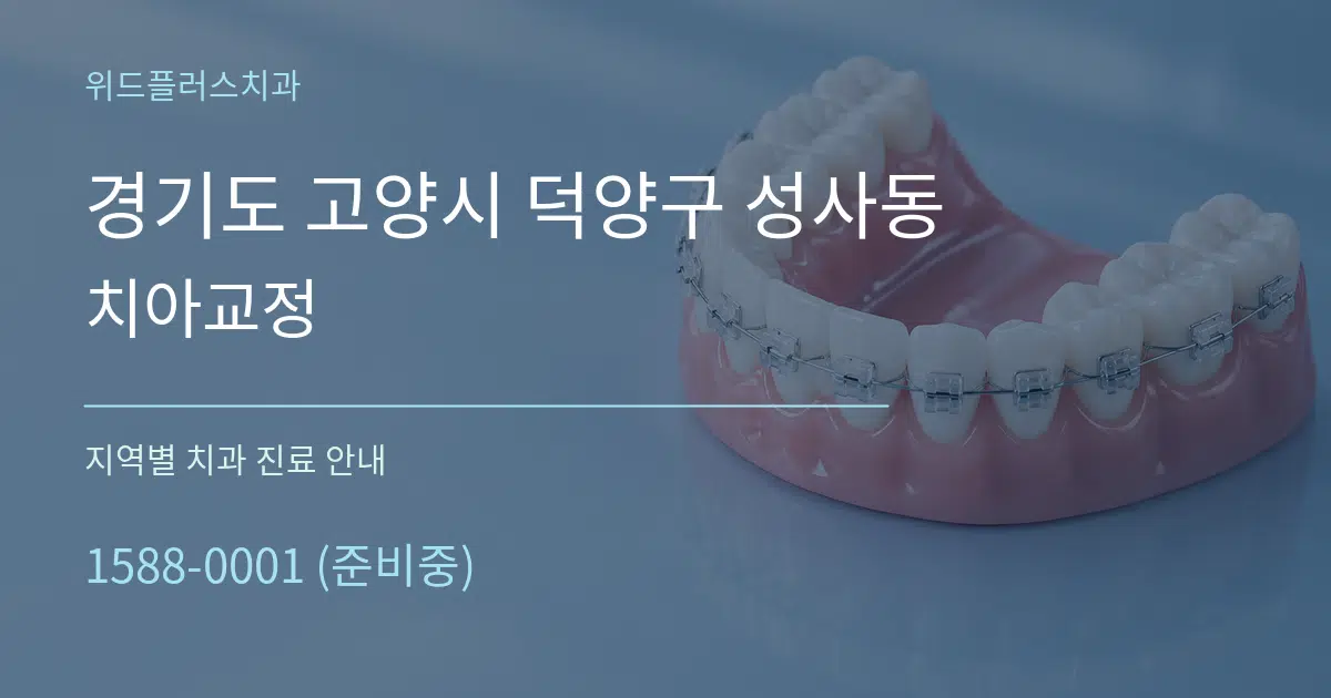 경기도 고양시 덕양구 성사동 치아교정 대표 안내 그래픽