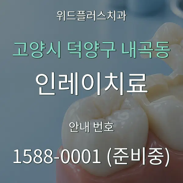 고양시 덕양구 내곡동 인레이치료 대표 안내 그래픽