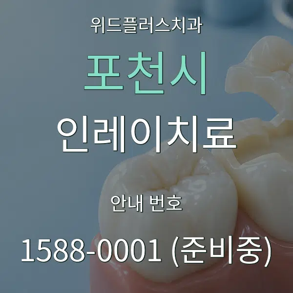 포천시 인레이치료 대표 안내 그래픽