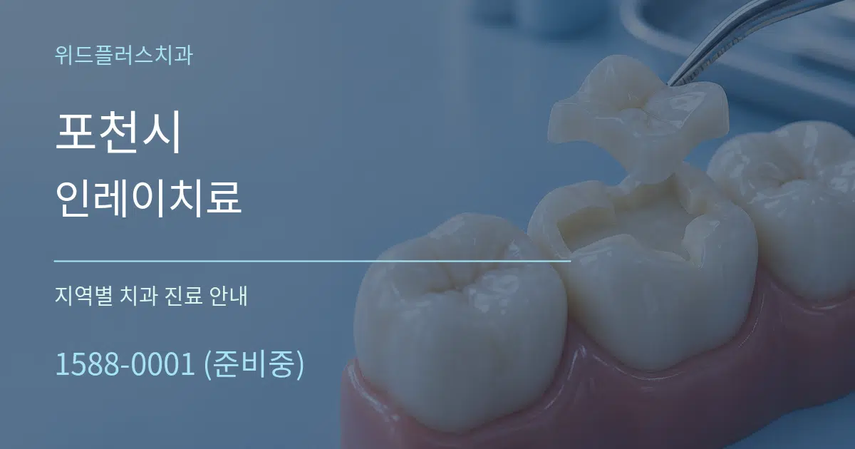 포천시 인레이치료 대표 안내 그래픽