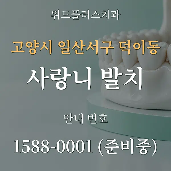 고양시 일산서구 덕이동 사랑니 발치 대표 안내 그래픽