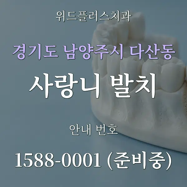 경기도 남양주시 다산동 사랑니 발치 대표 안내 그래픽