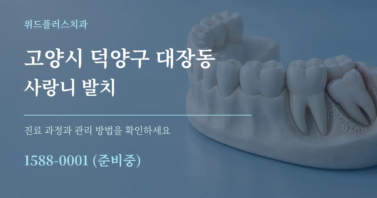 고양시 덕양구 대장동 사랑니 발치 서비스 이용 안내 그래픽