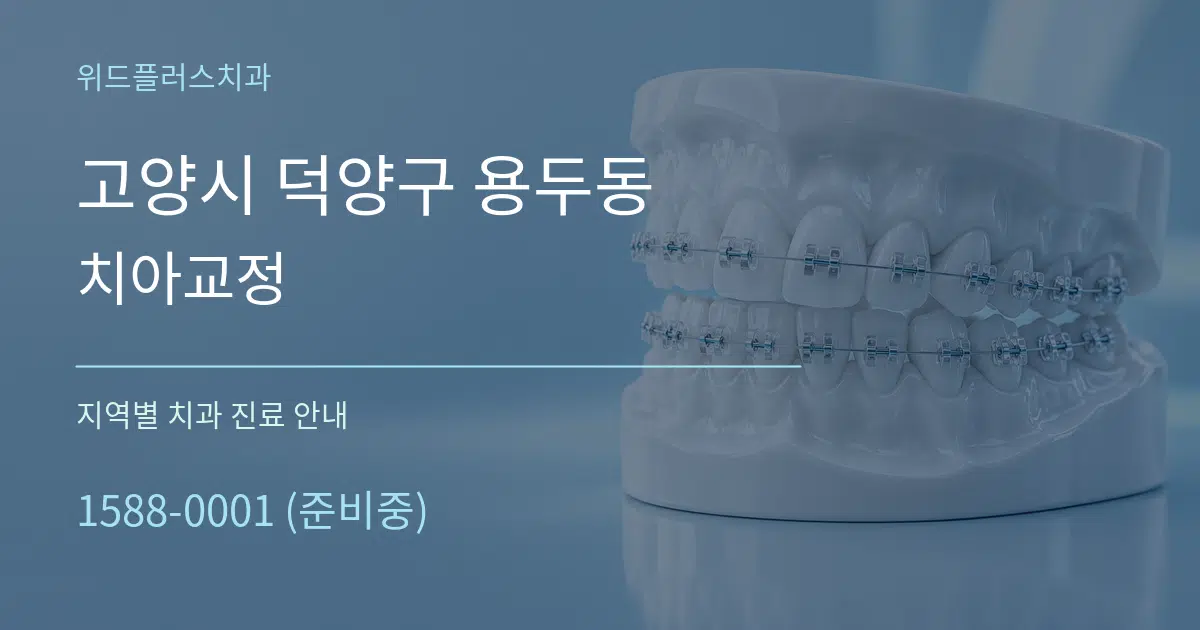 고양시 덕양구 용두동 치아교정 대표 안내 그래픽