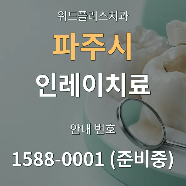 파주시 인레이치료 대표 안내 그래픽