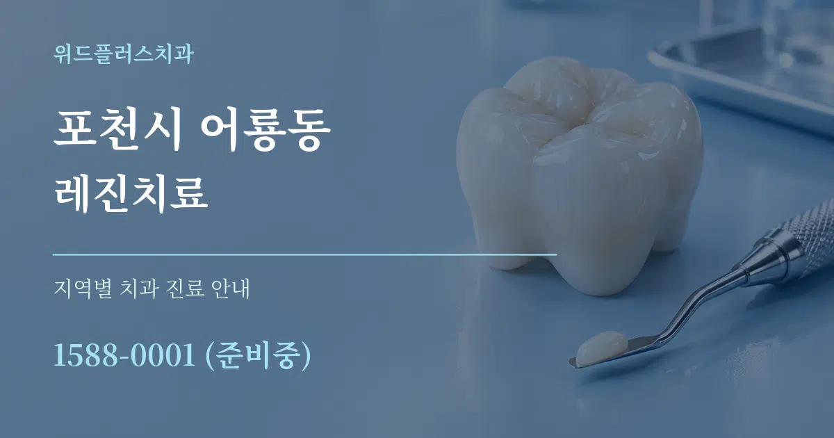 포천시 어룡동 레진치료 대표 안내 그래픽