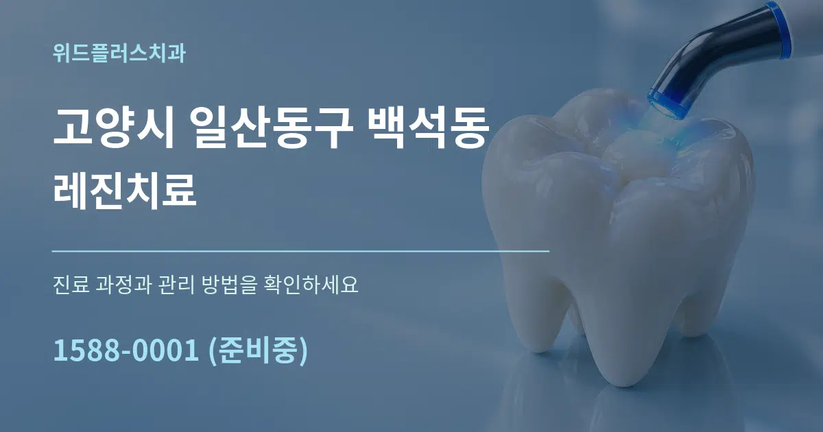 고양시 일산동구 백석동 레진치료 서비스 이용 안내 그래픽