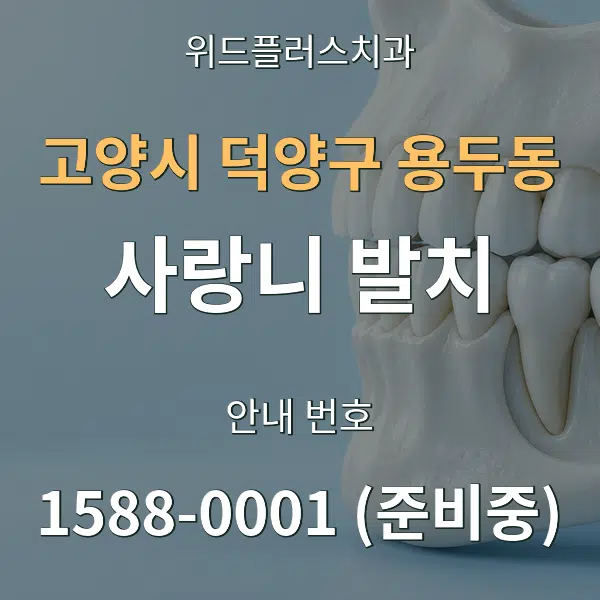 고양시 덕양구 용두동 사랑니 발치 대표 안내 그래픽