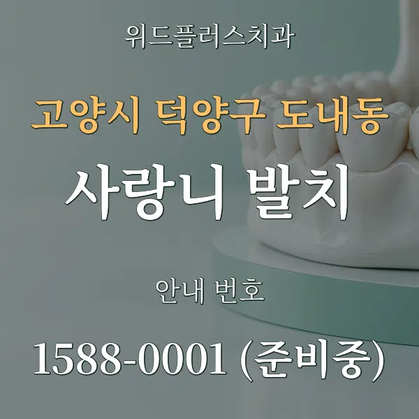 고양시 덕양구 도내동 사랑니 발치 대표 안내 그래픽