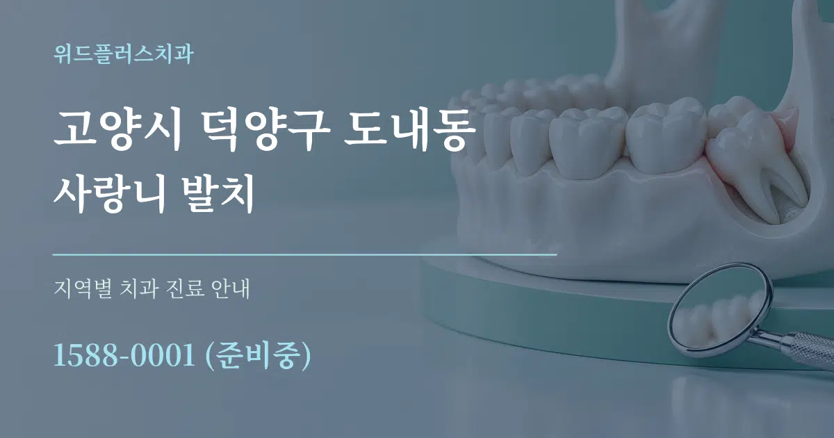 고양시 덕양구 도내동 사랑니 발치 대표 안내 그래픽