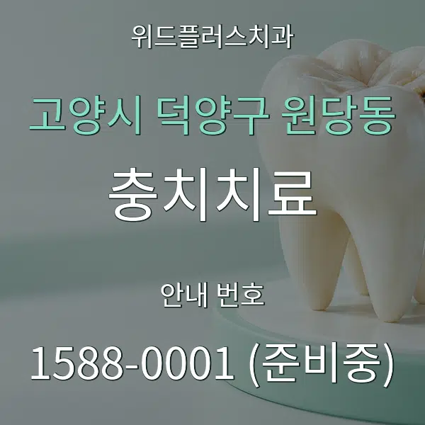 고양시 덕양구 원당동 충치치료 대표 안내 그래픽