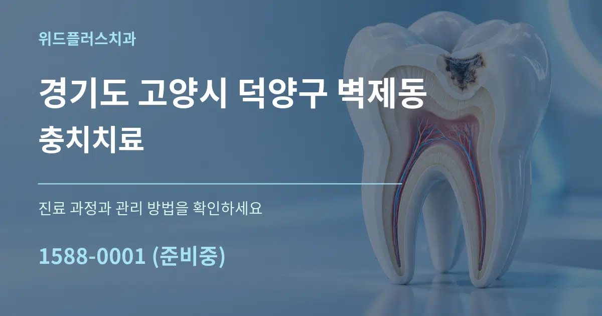 경기도 고양시 덕양구 벽제동 충치치료 서비스 이용 안내 그래픽