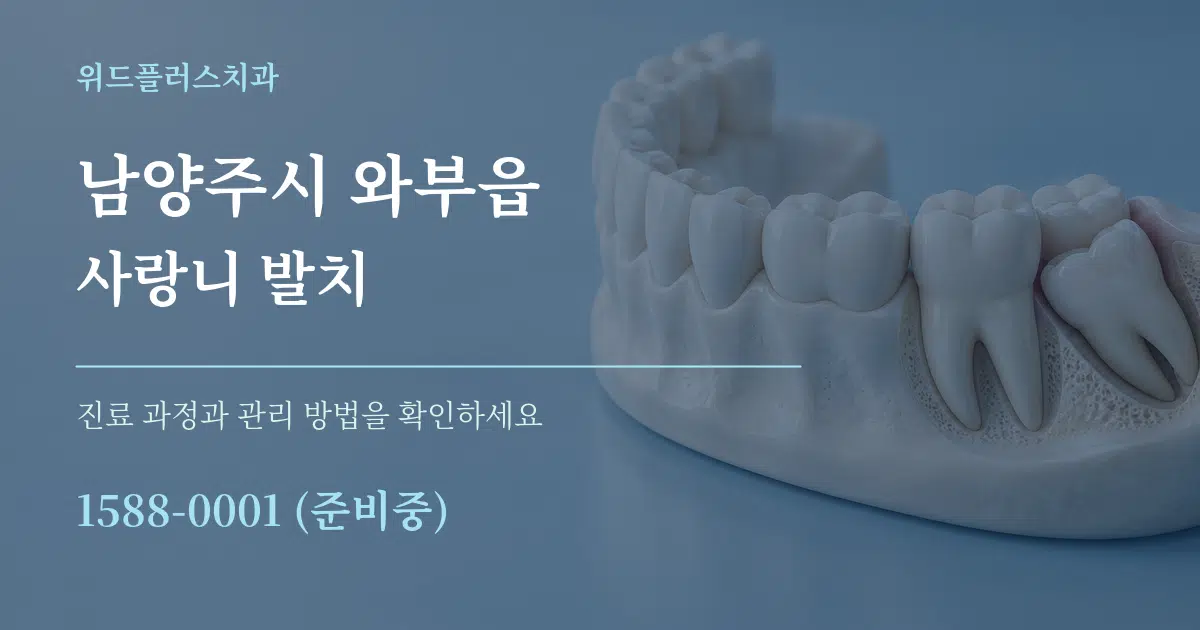 남양주시 와부읍 사랑니 발치 서비스 이용 안내 그래픽