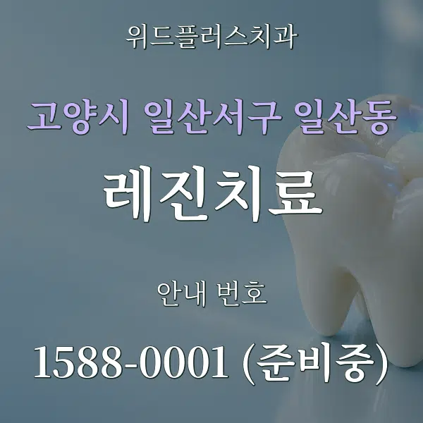 고양시 일산서구 일산동 레진치료 대표 안내 그래픽