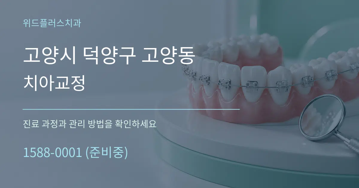 고양시 덕양구 고양동 치아교정 작업 조건 안내 그래픽