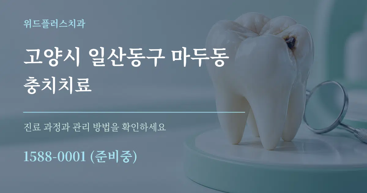 고양시 일산동구 마두동 충치치료 작업 조건 안내 그래픽