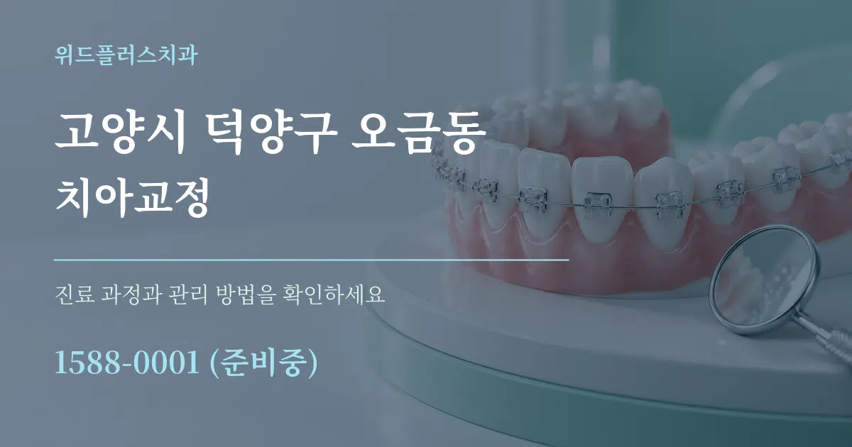 고양시 덕양구 오금동 치아교정 작업 조건 안내 그래픽