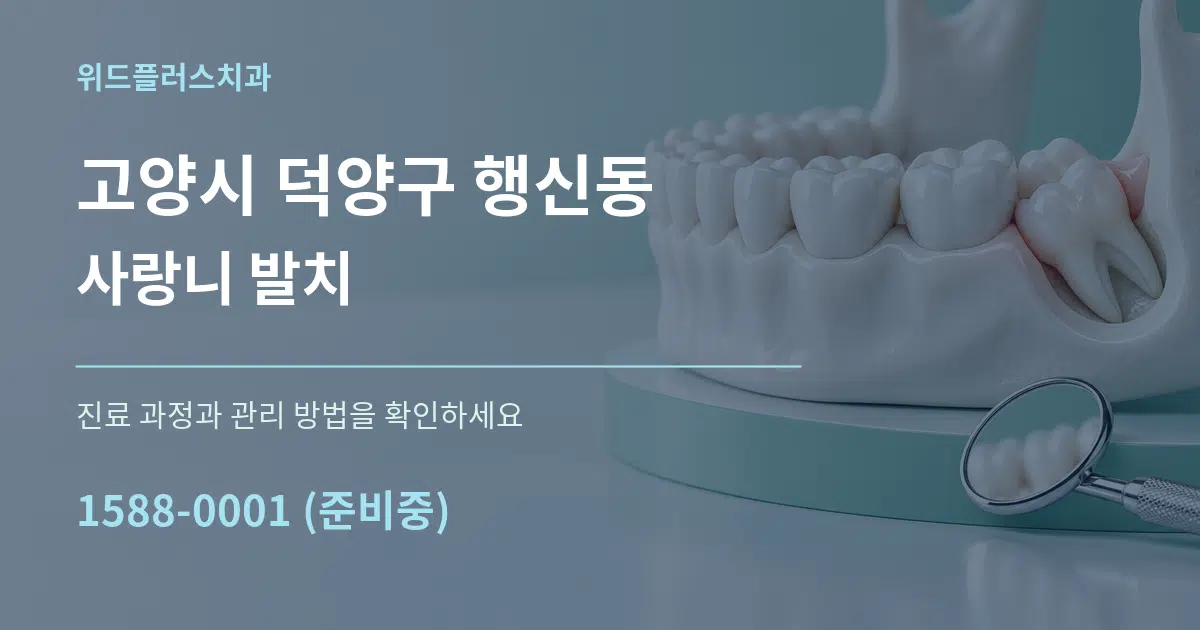 고양시 덕양구 행신동 사랑니 발치 작업 조건 안내 그래픽