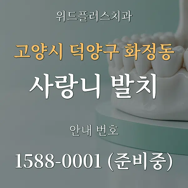 고양시 덕양구 화정동 사랑니 발치 대표 안내 그래픽