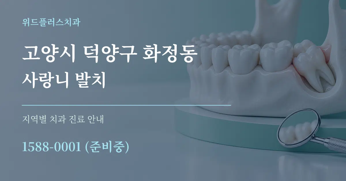고양시 덕양구 화정동 사랑니 발치 대표 안내 그래픽