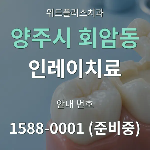 양주시 회암동 인레이치료 대표 안내 그래픽
