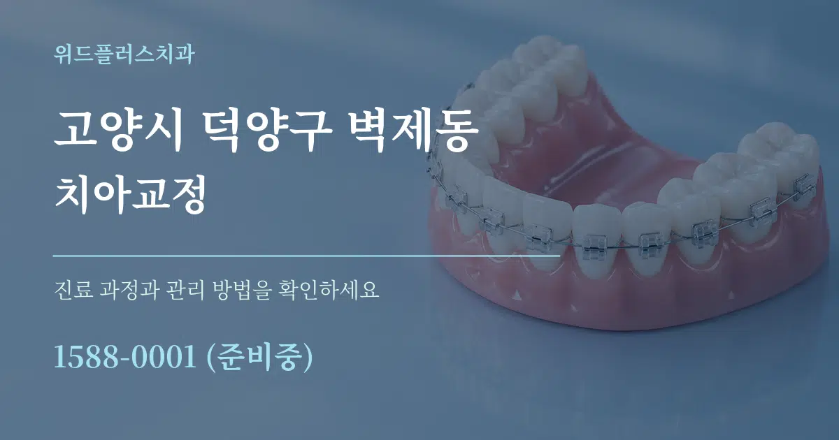 고양시 덕양구 벽제동 치아교정 작업 조건 안내 그래픽