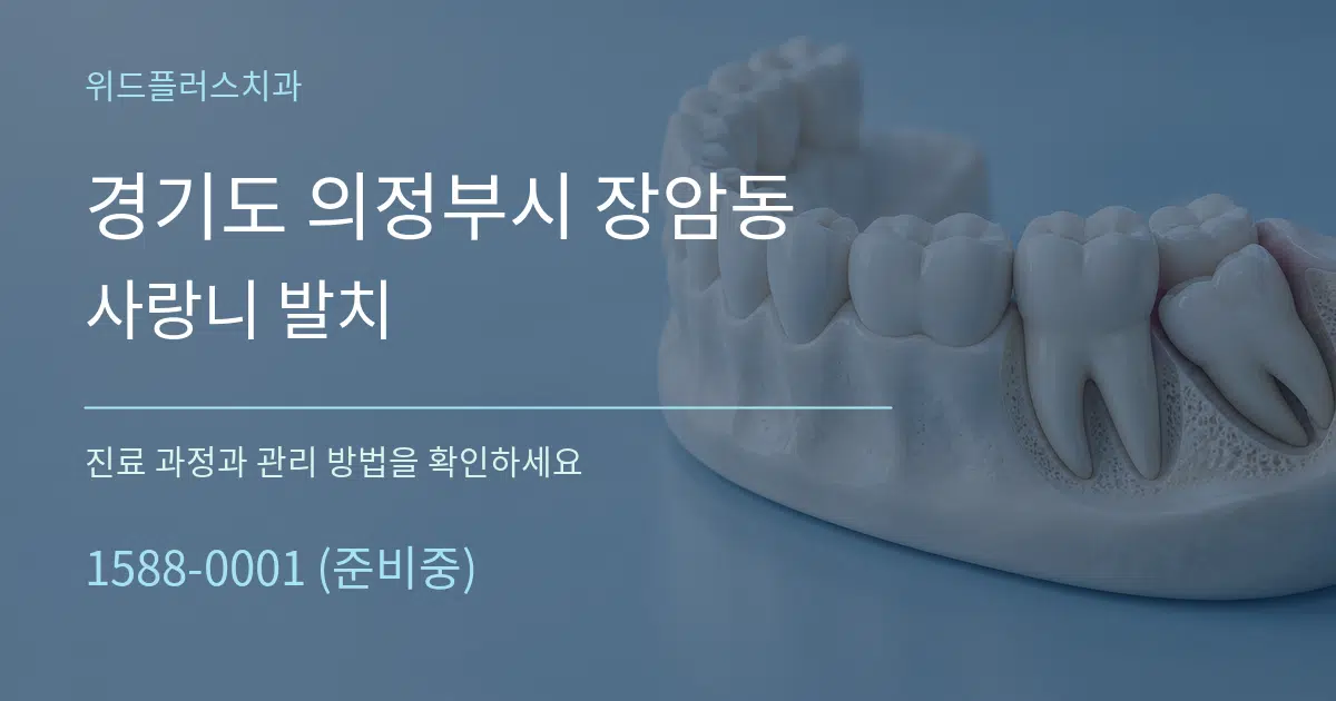 경기도 의정부시 장암동 사랑니 발치 서비스 이용 안내 그래픽