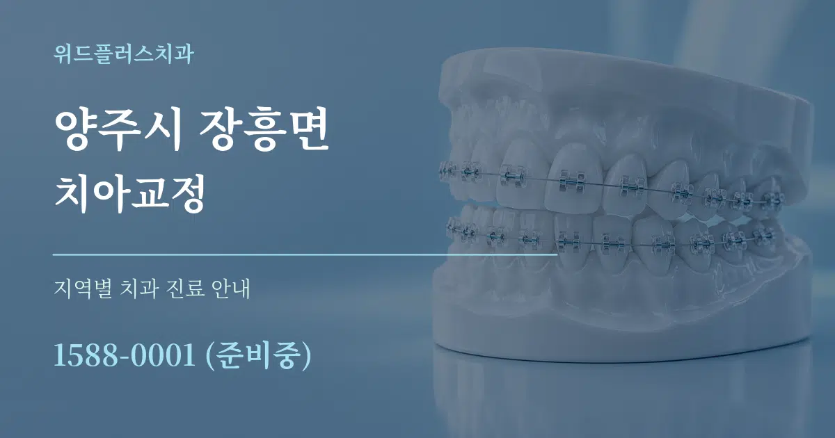 양주시 장흥면 치아교정 대표 안내 그래픽
