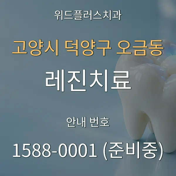 고양시 덕양구 오금동 레진치료 대표 안내 그래픽