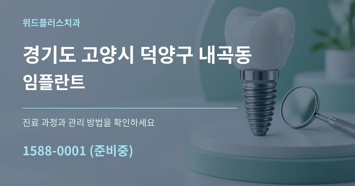 경기도 고양시 덕양구 내곡동 임플란트 서비스 이용 안내 그래픽