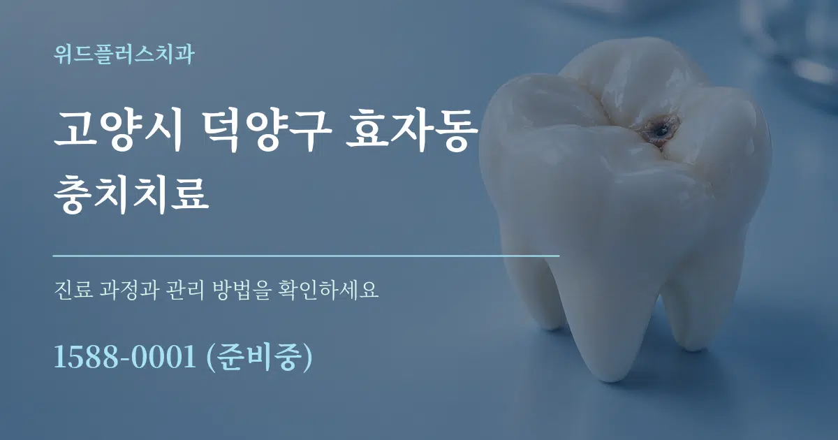 고양시 덕양구 효자동 충치치료 작업 조건 안내 그래픽