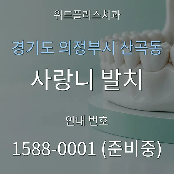 경기도 의정부시 산곡동 사랑니 발치 대표 안내 그래픽