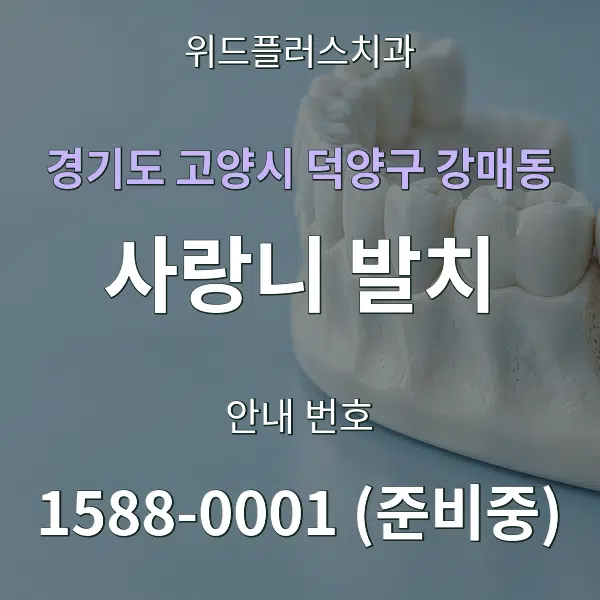 경기도 고양시 덕양구 강매동 사랑니 발치 대표 안내 그래픽