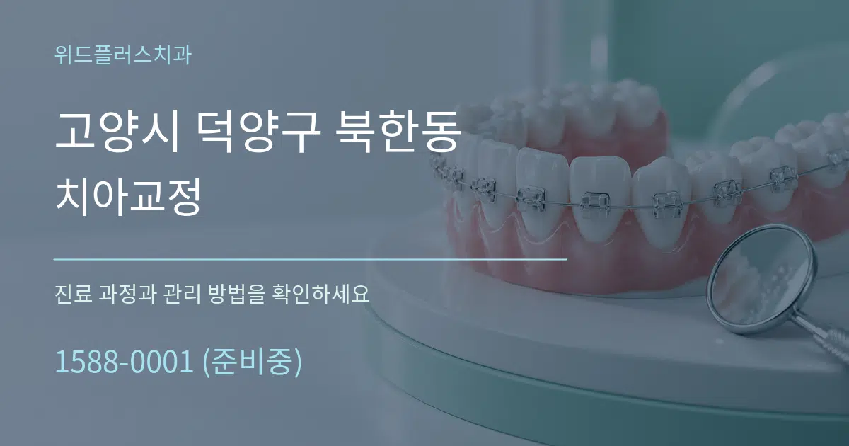고양시 덕양구 북한동 치아교정 작업 조건 안내 그래픽