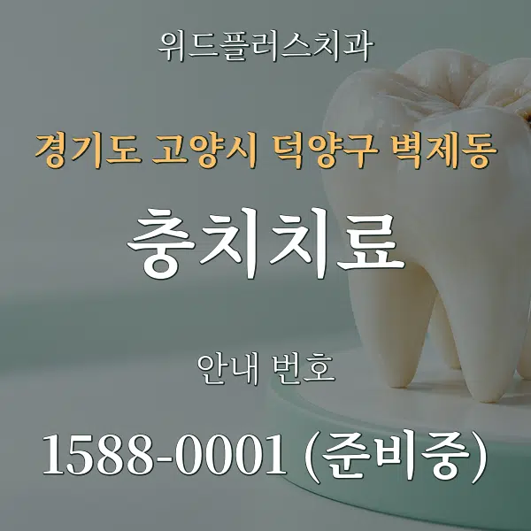 경기도 고양시 덕양구 벽제동 충치치료 대표 안내 그래픽