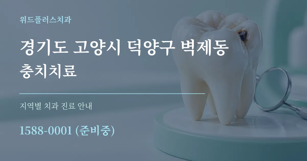경기도 고양시 덕양구 벽제동 충치치료 대표 안내 그래픽