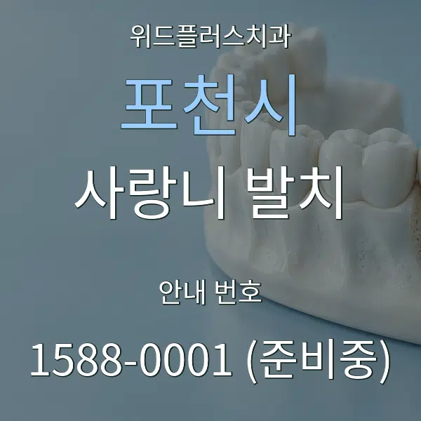포천시 사랑니 발치 대표 안내 그래픽