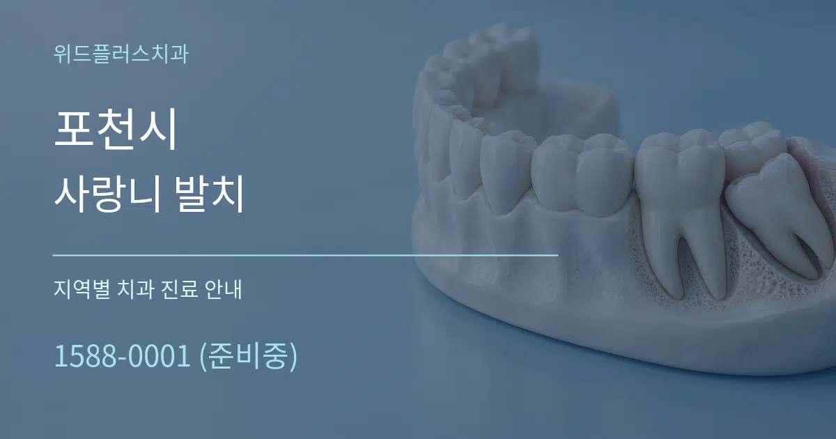 포천시 사랑니 발치 대표 안내 그래픽