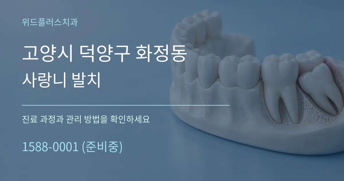고양시 덕양구 화정동 사랑니 발치 작업 조건 안내 그래픽