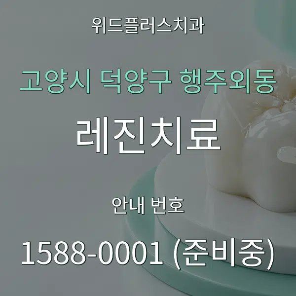 고양시 덕양구 행주외동 레진치료 대표 안내 그래픽