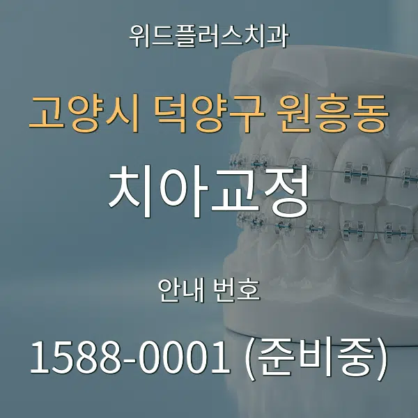 고양시 덕양구 원흥동 치아교정 대표 안내 그래픽
