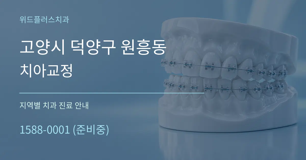 고양시 덕양구 원흥동 치아교정 대표 안내 그래픽