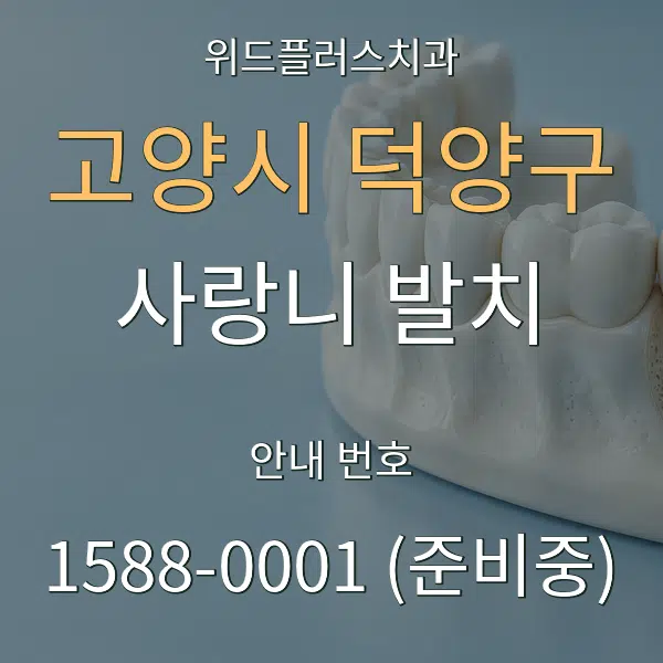 고양시 덕양구 사랑니 발치 대표 안내 그래픽